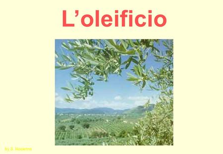 L’oleificio by S. Nocerino.