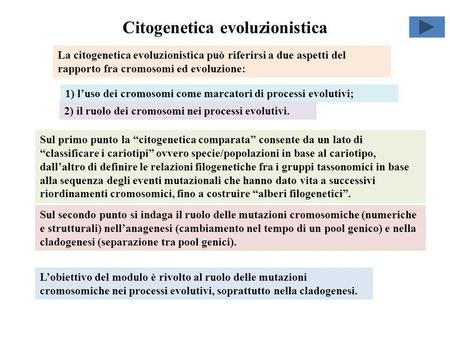 Citogenetica evoluzionistica