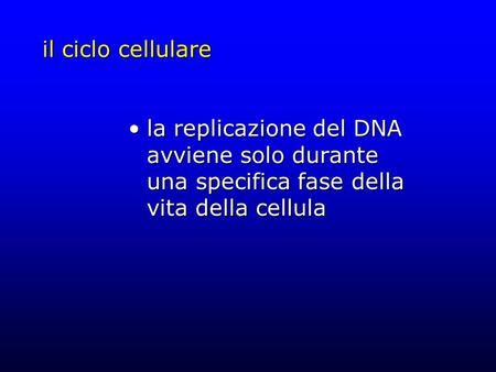 Il ciclo cellulare la replicazione del DNA avviene solo durante una specifica fase della vita della cellula.