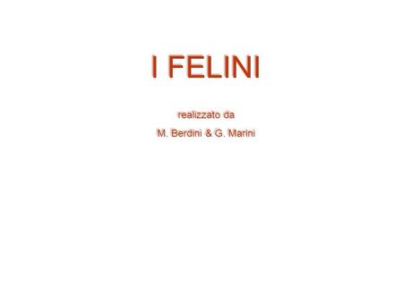 I FELINI realizzato da M. Berdini & G. Marini.