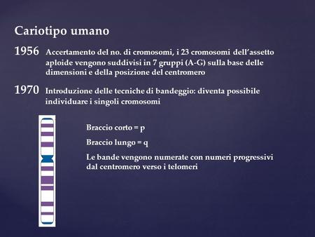 Cariotipo umano 1956 	Accertamento del no. di cromosomi, i 23 cromosomi dell’assetto aploide vengono suddivisi in 7 gruppi (A-G) sulla base delle dimensioni.