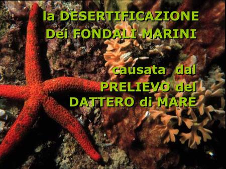 la DESERTIFICAZIONE Dei FONDALI MARINI causata  dal PRELIEVO del