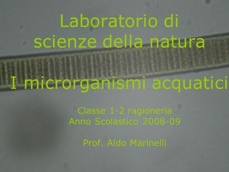 Laboratorio di scienze della natura I microrganismi acquatici
