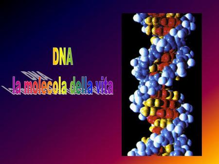 DNA la molecola della vita.
