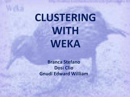 CLUSTERING WITH WEKA Branca Stefano Dosi Clio Gnudi Edward William.