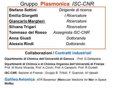 Gruppo Plasmonica ISC-CNR