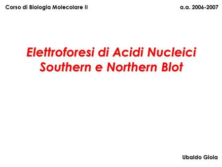 Elettroforesi di Acidi Nucleici Southern e Northern Blot