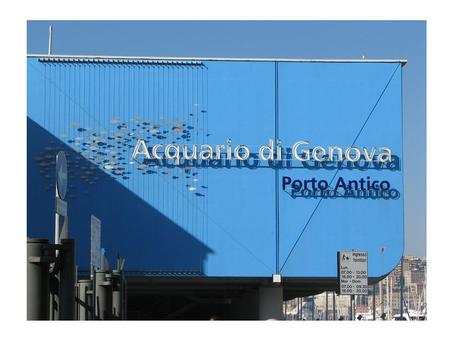 LAcquario di Genova è stato inaugurato il 15 Ottobre 1992. LAcquario è una struttura lunga più di 250 metri disposta su quattro piani, due dei quali sotto.