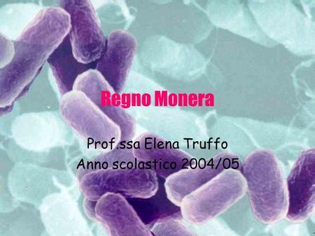 Prof.ssa Elena Truffo Anno scolastico 2004/05