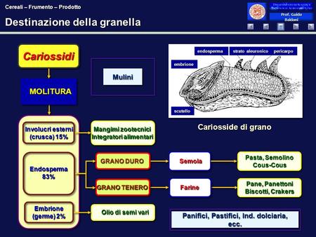 Destinazione della granella