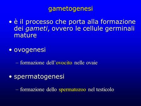 Gametogenesi è il processo che porta alla formazione dei gameti, ovvero le cellule germinali mature ovogenesi formazione dell’ovocito nelle ovaie spermatogenesi.