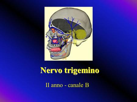 Nervo trigemino II anno - canale B.