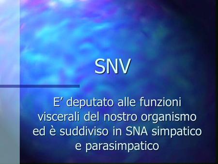 SNV E’ deputato alle funzioni viscerali del nostro organismo ed è suddiviso in SNA simpatico e parasimpatico.