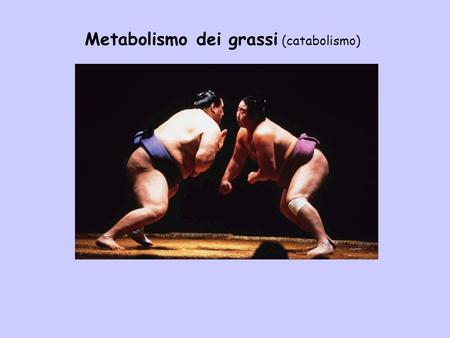 Metabolismo dei grassi (catabolismo)