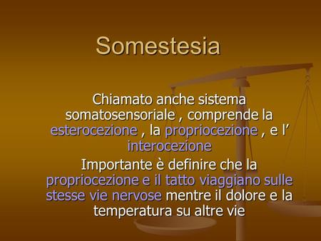 Somestesia Chiamato anche sistema somatosensoriale , comprende la esterocezione , la propriocezione , e l’ interocezione Importante è definire che la propriocezione.