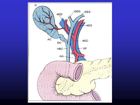 CARATTERISTICHE FISICO-CHIMICHE DELLA BILE (‰) bile epatica	 bile colecist. Acqua	 973, ,6.