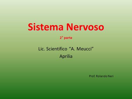 Lic. Scientifico “A. Meucci”