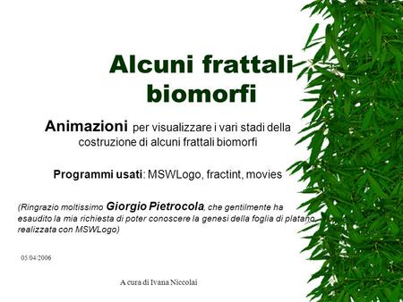 Alcuni frattali biomorfi