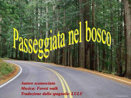 Autore sconosciuto Musica: Forest walk Traduzione dallo spagnolo: LULU.