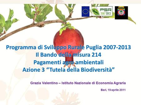 Programma di Sviluppo Rurale Puglia 2007-2013 Il Bando della misura 214 Pagamenti agro ambientali Azione 3 Tutela della Biodiversità Grazia Valentino –
