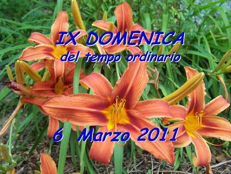 IX DOMENICA del tempo ordinario 6 Marzo 2011.