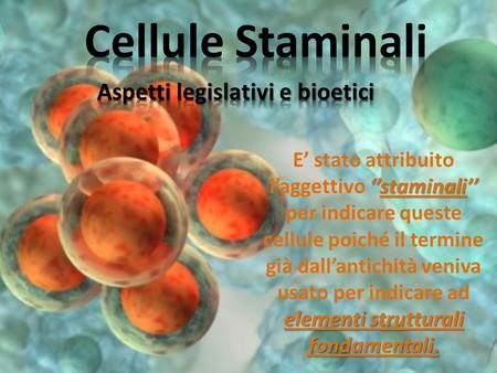 Cellule Staminali Aspetti legislativi e bioetici