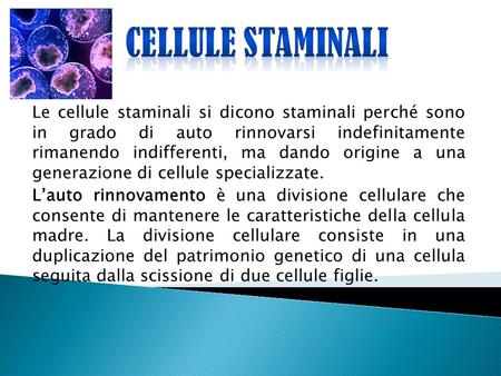 CELLULE STAMINALI Le cellule staminali si dicono staminali perché sono in grado di auto rinnovarsi indefinitamente rimanendo indifferenti, ma dando origine.
