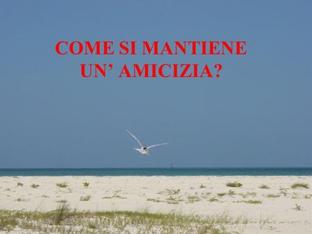 COME SI MANTIENE UN’ AMICIZIA?