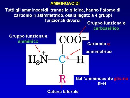 AMMINOACIDI Tutti gli amminoacidi, tranne la glicina, hanno l’atomo di carbonio a asimmetrico, ossia legato a 4 gruppi funzionali diversi Gruppo funzionale.