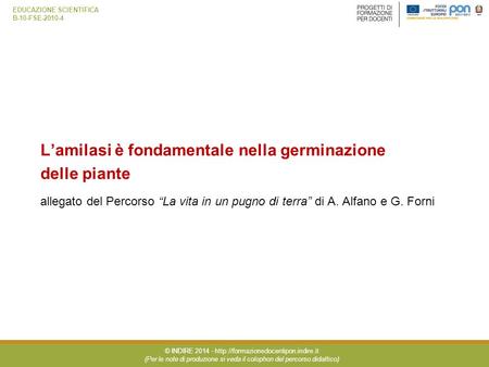 L’amilasi è fondamentale nella germinazione delle piante