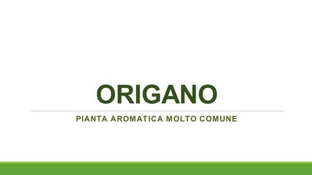 pianta aromatica molto comune