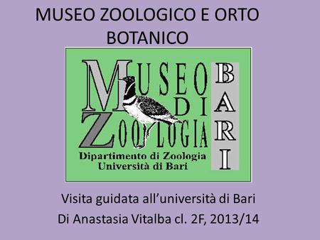 MUSEO ZOOLOGICO E ORTO BOTANICO