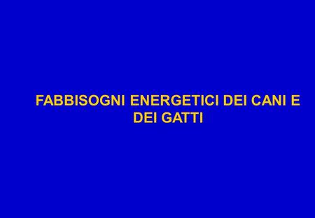 FABBISOGNI ENERGETICI DEI CANI E DEI GATTI