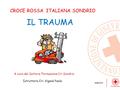 CROCE ROSSA ITALIANA SONDRIO A cura del Settore Formazione Cri Sondrio Istruttore Cri: Viganò Paola IL TRAUMA.