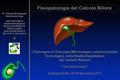 Gallstone causing temporary obstruction of common duct Fisiopatologia del Calcolo Biliare I Convegno di Chirurgia Mini-Invasiva ed Innovazione Tecnologica.