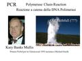 PCR Polymerase Chain Reaction Reazione a catena della DNA Polimerasi Premio Nobel per la Chimica nel 1993 assieme a Michael Smith Old Faithfull (???) Kary.