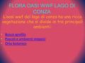 FLORA OASI WWF LAGO DI CONZA L’oasi wwf del lago di conza ha una ricca vegetazione che si divide in tre principali ambienti: Bosco igrofilo Pascoli e ambienti.