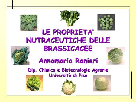 LE PROPRIETA’ NUTRACEUTICHE DELLE BRASSICACEE Annamaria Ranieri Dip. Chimica e Biotecnologie Agrarie Università di Pisa.