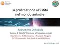 La procreazione assistita nel mondo animale Maria Elena Dell’Aquila Sezione di Cliniche Veterinarie e Produzioni Animali Dipartimento dell’Emergenza e.