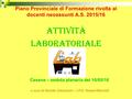 Piano Provinciale di Formazione rivolta ai docenti neoassunti A.S. 2015/16 attività laboratoriale a cura di Davide Ceccaroni – I.P.S. Versari/Macrelli.