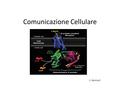 Comunicazione Cellulare S. Beninati. Trasduzione del segnale in tutti i metazoi o organismi pluricellulari, una complessa rete di comunicazione tra cellule.