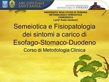 1 Corso di Metodologia Clinica Semeiotica e Fisiopatologia dei sintomi a carico di Esofago-Stomaco-Duodeno UNIVERSITA’ DEGLI STUDI DI FERRARA METODOLOGIA.