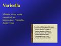 Varicella Malattia virale acuta causata da un herpesvirus: Varicella- Zoster virus.