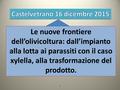 Le nuove frontiere dell’olivicoltura: dall’impianto alla lotta ai parassiti con il caso xylella, alla trasformazione del prodotto. 11.