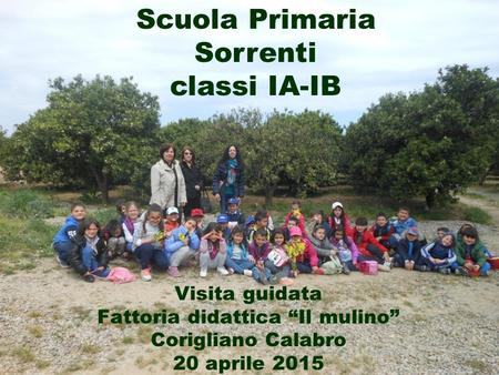 Scuola Primaria Sorrenti classi IA-IB Visita guidata Fattoria didattica “Il mulino” Corigliano Calabro 20 aprile 2015.