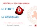 CROCE ROSSA ITALIANA SONDRIO A cura del Settore Formazione Cri Sondrio Istruttore Cri: Viganò Paola LE FERITE LE EMORRAGIE.