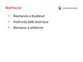Biomasse Bioetanolo e biodiesel Elettricità dalle biomasse Biomasse e ambiente zink.to/biomasse.
