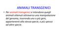 ANIMALI TRANSGENICI Per animali transgenici si intendono quegli animali ottenuti attraverso una manipolazione del genoma, inserendo uno o più geni, appartenenti.