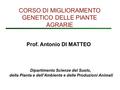 Prof. Antonio DI MATTEO Dipartimento Scienze del Suolo, della Pianta e dell’Ambiente e delle Produzioni Animali CORSO DI MIGLIORAMENTO GENETICO DELLE PIANTE.