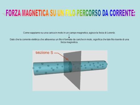 FORZA MAGNETICA SU UN FILO PERCORSO DA CORRENTE: